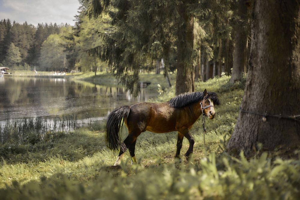 Photograph by Татьяна Полянская