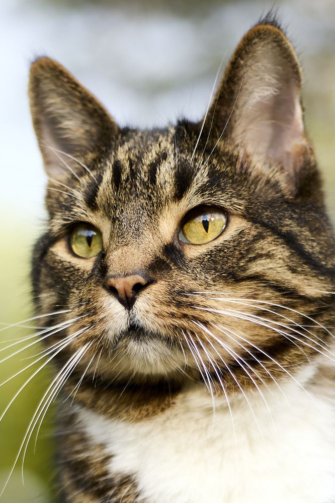 Photograph by Татьяна Полянская