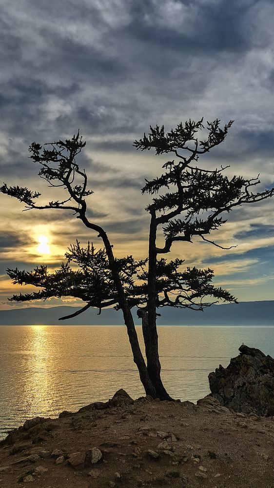 Photograph by Виктор Сёмушкин