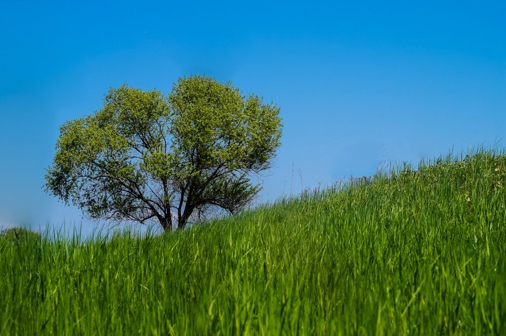 Photograph by Виктор Сёмушкин