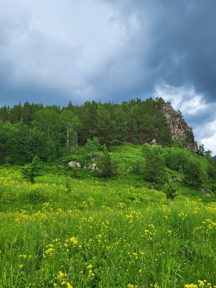 Photograph by Svetlana Korogod