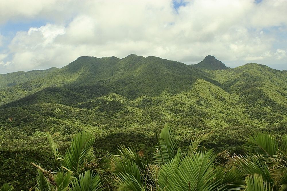 Фотография автора Jose Otero