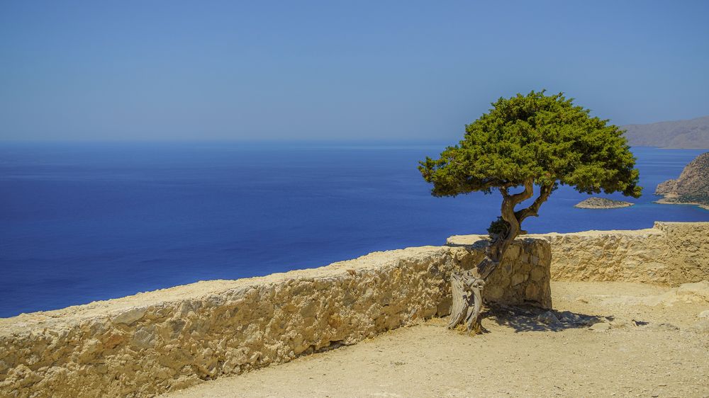 Photograph by Valdis Serzhans