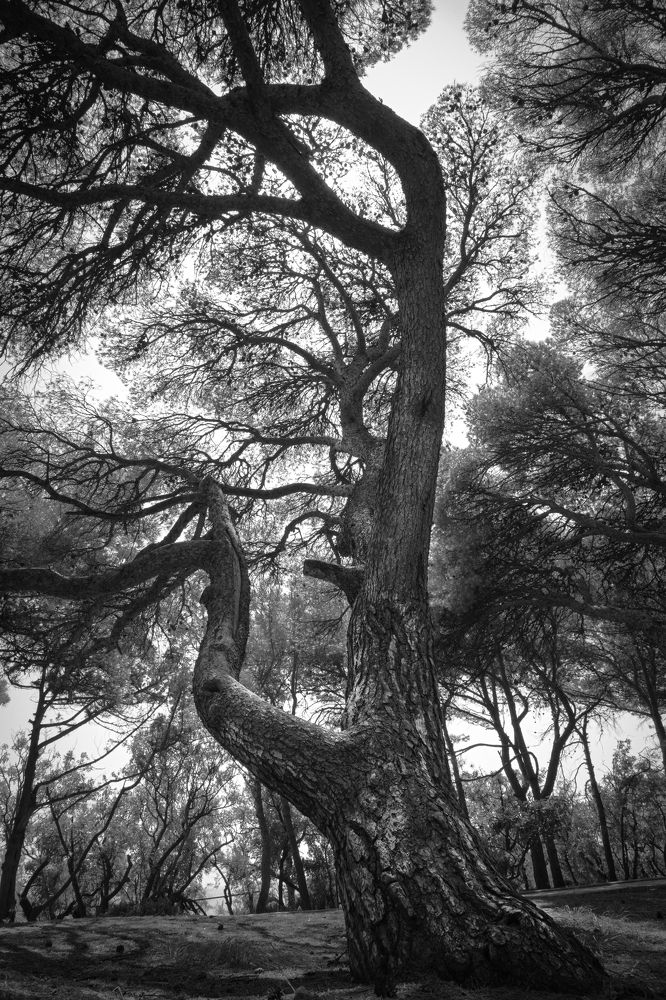 Photograph by Игорь Толкачев