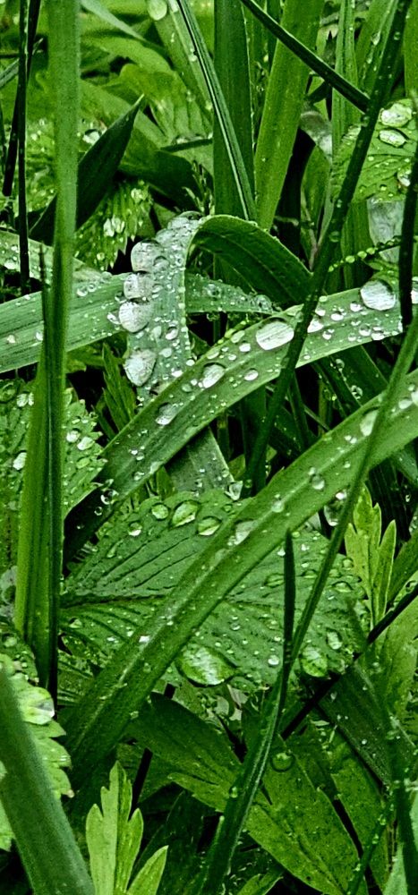 Photograph by Татьяна Биргулиева