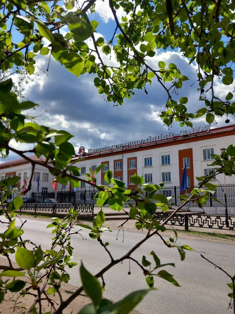 Photograph by Элеонора Безженова