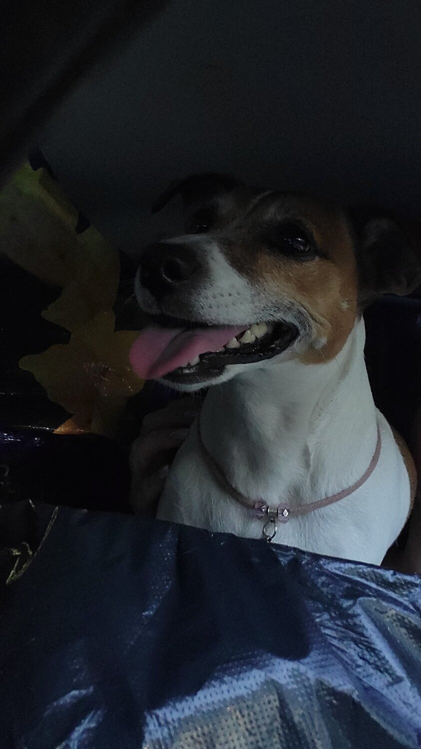 Photo #10704555