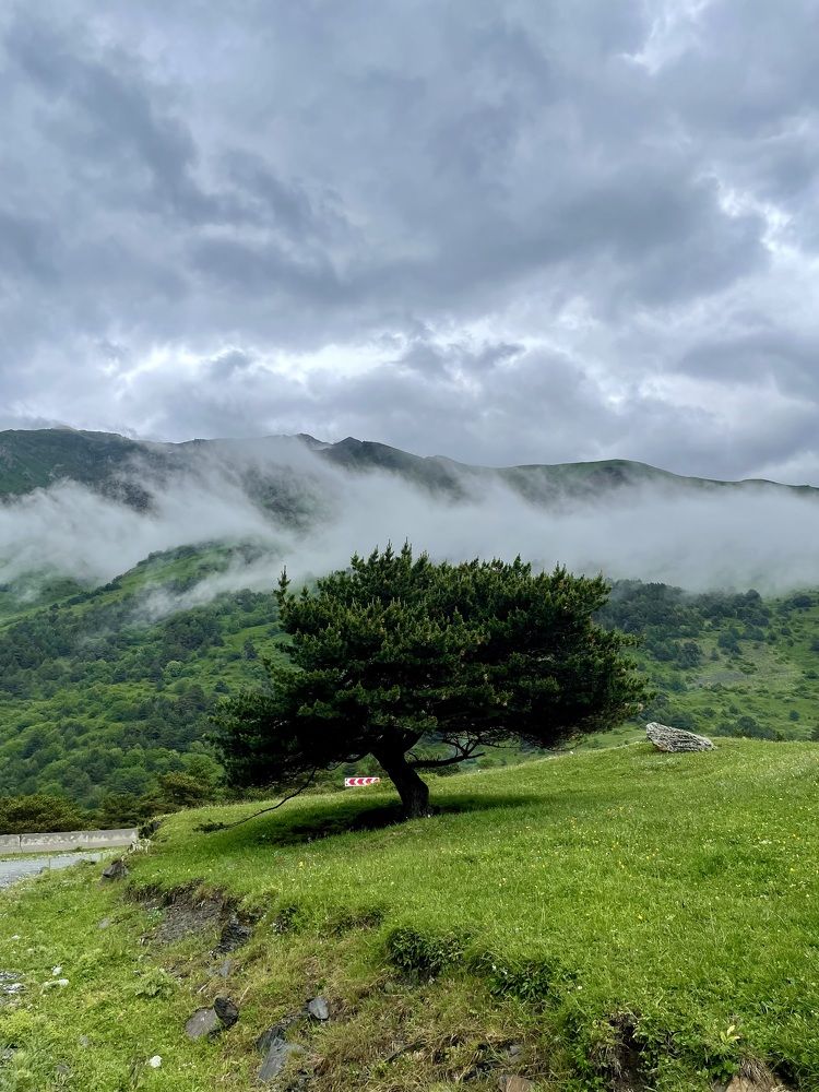 Photograph by Марина Белянских