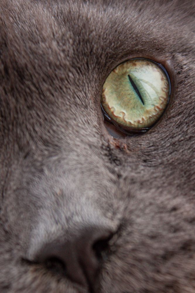 Photograph by Анна Карпенко