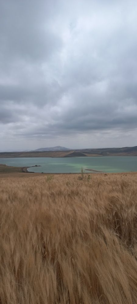 ميلة الجزائر