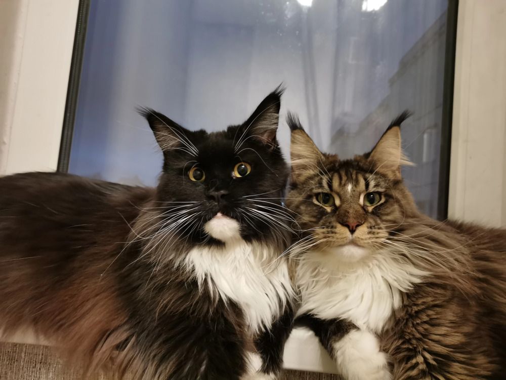 Photograph by Надежда Горчакова