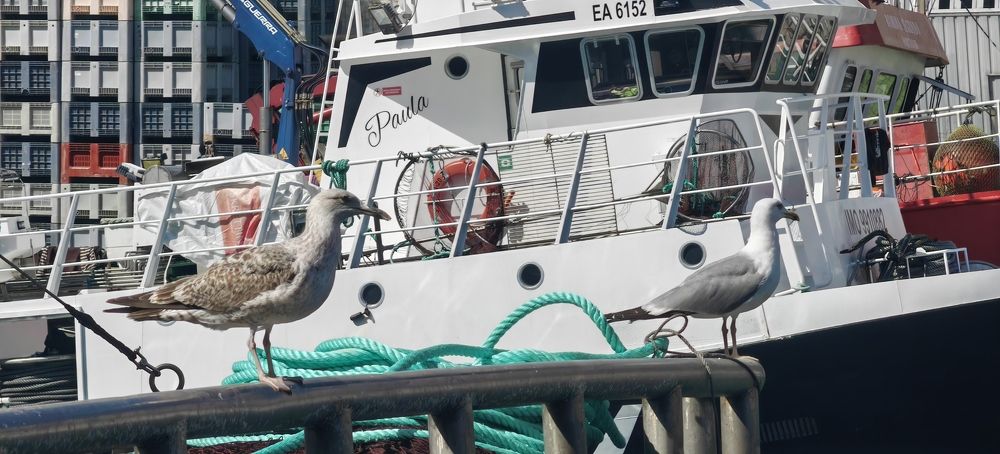 Photograph by Lander Veiga