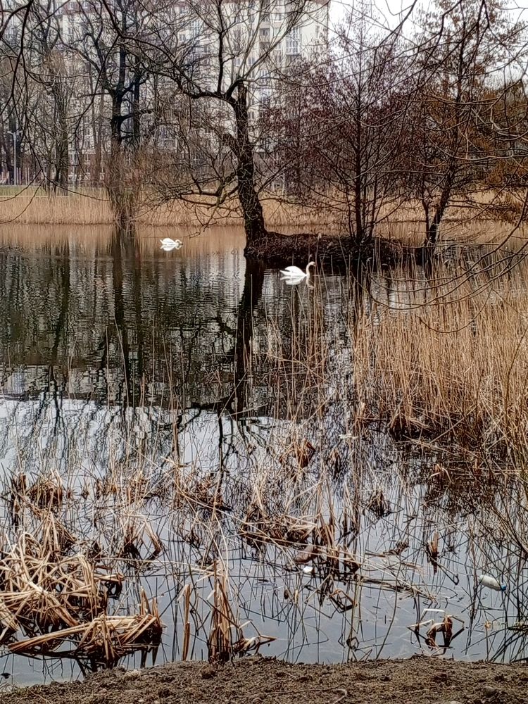 Photograph by Дина Полухина