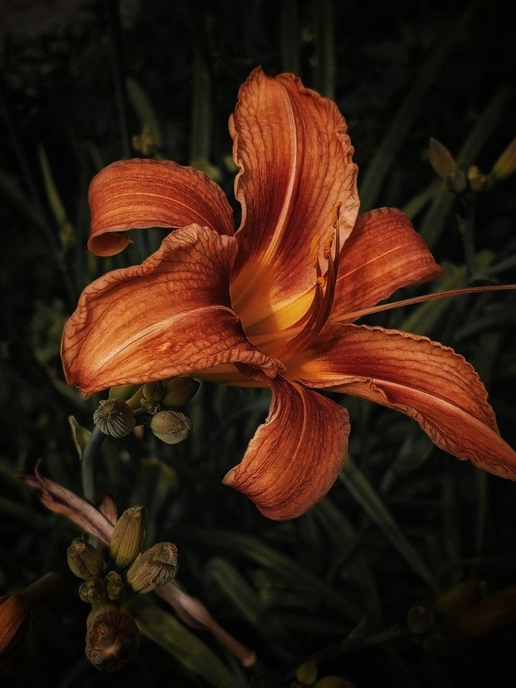 Photograph by Дина Полухина