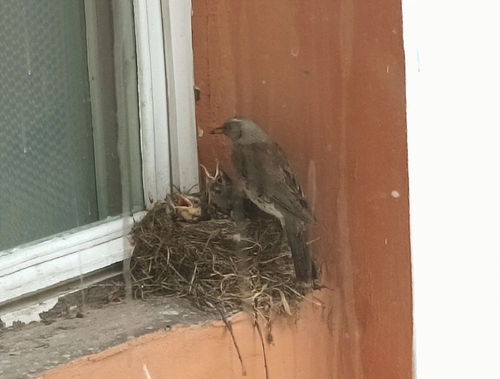 Photograph by Николай Грекалов