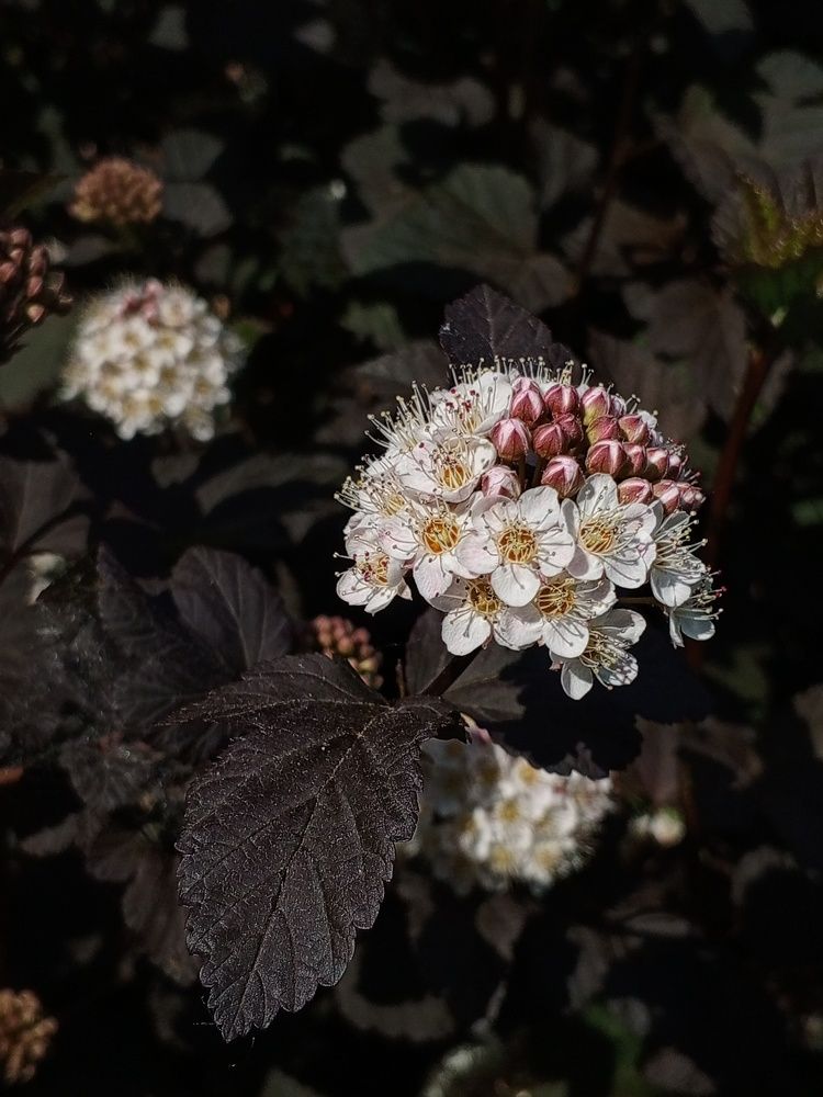 Photograph by Дина Полухина