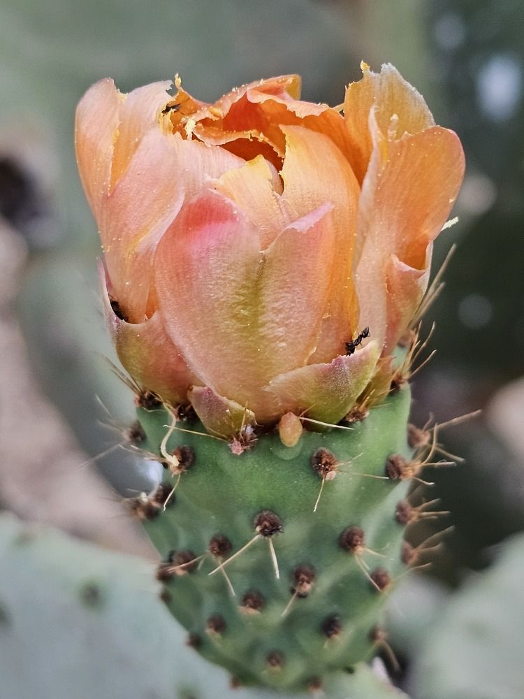 Photograph by Ksenia Werner