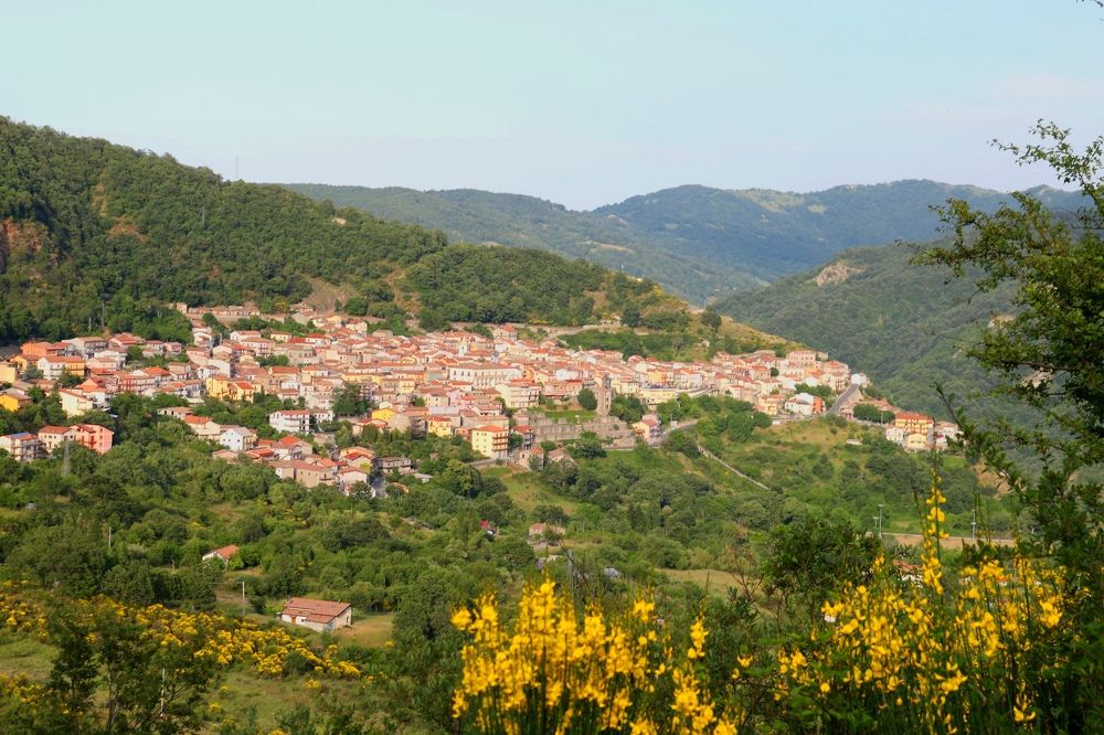 Photograph by Marika Charkviani