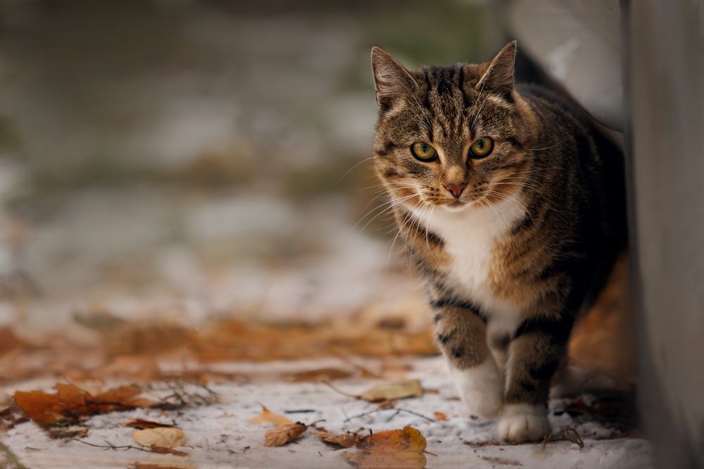 Photograph by Яна Нарбутович