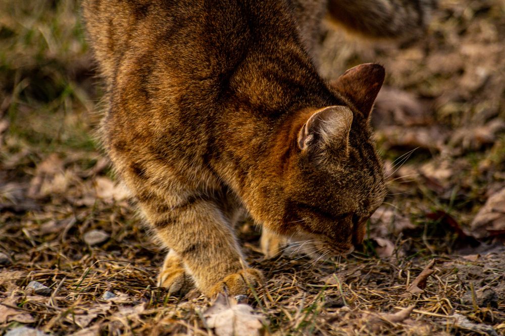 Photograph by Кокорин Алексей