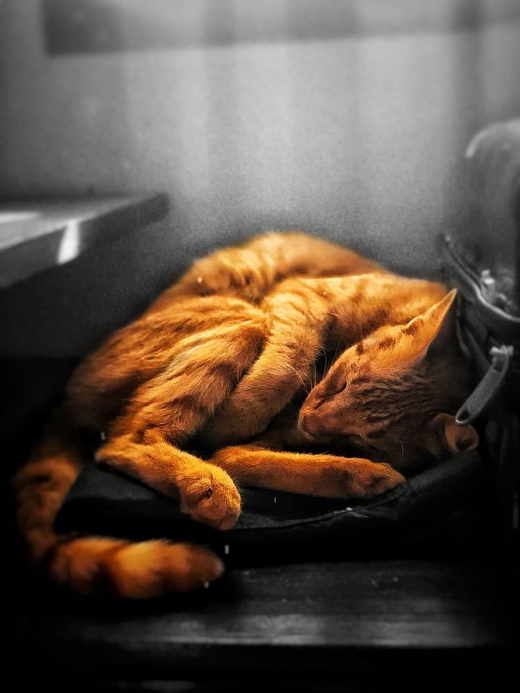 Photograph by Анастасия Куэлляр