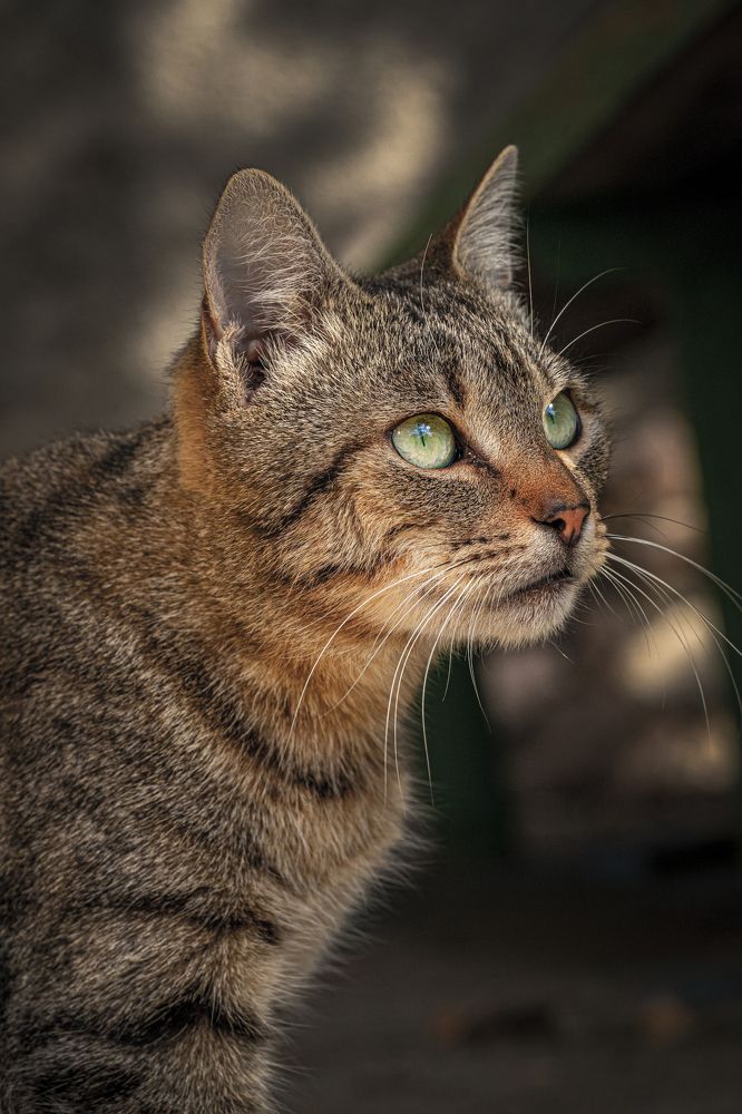 Photograph by Игорь Толкачев