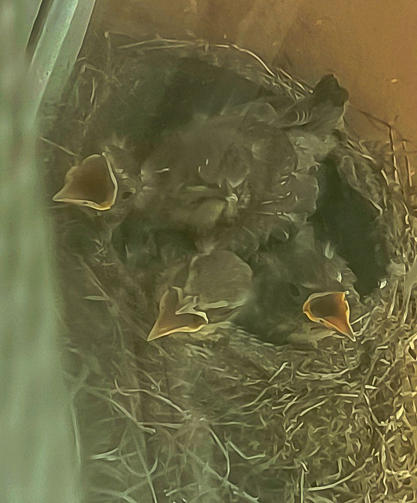 Photograph by Николай Грекалов