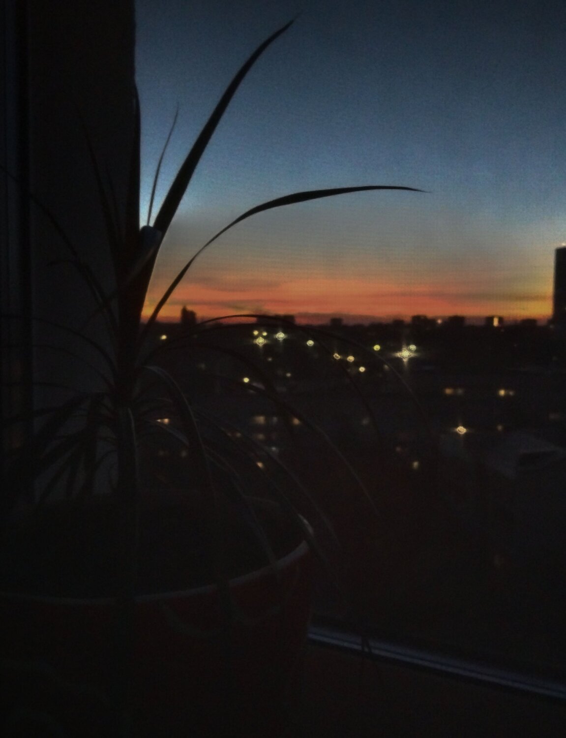 Photo #10704779