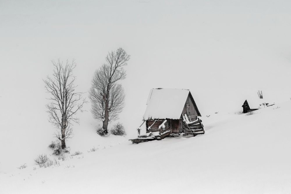 Photograph by Mariana Negulescu