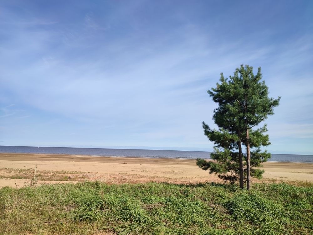 Photograph by Марина