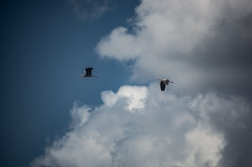 Photograph by Ольга Волкова