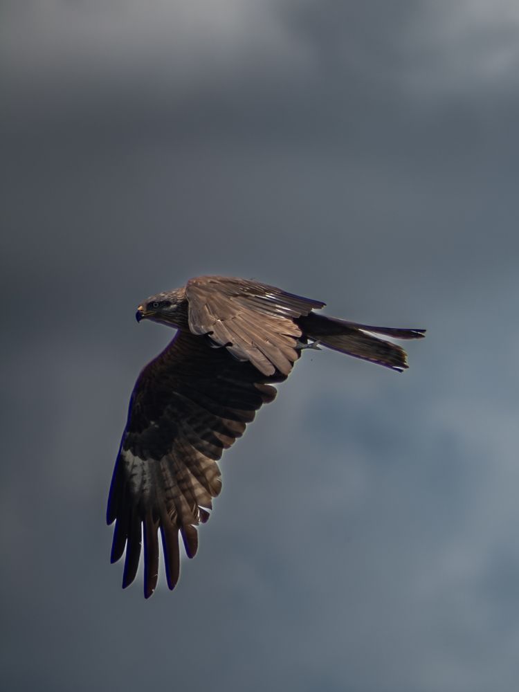 Photograph by Ольга Волкова