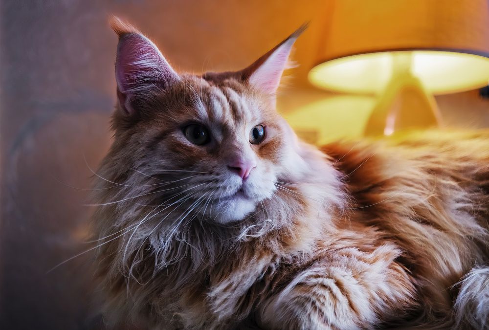 Photograph by Александр Творогов