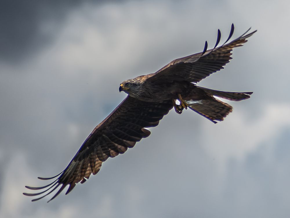 Photograph by Ольга Волкова