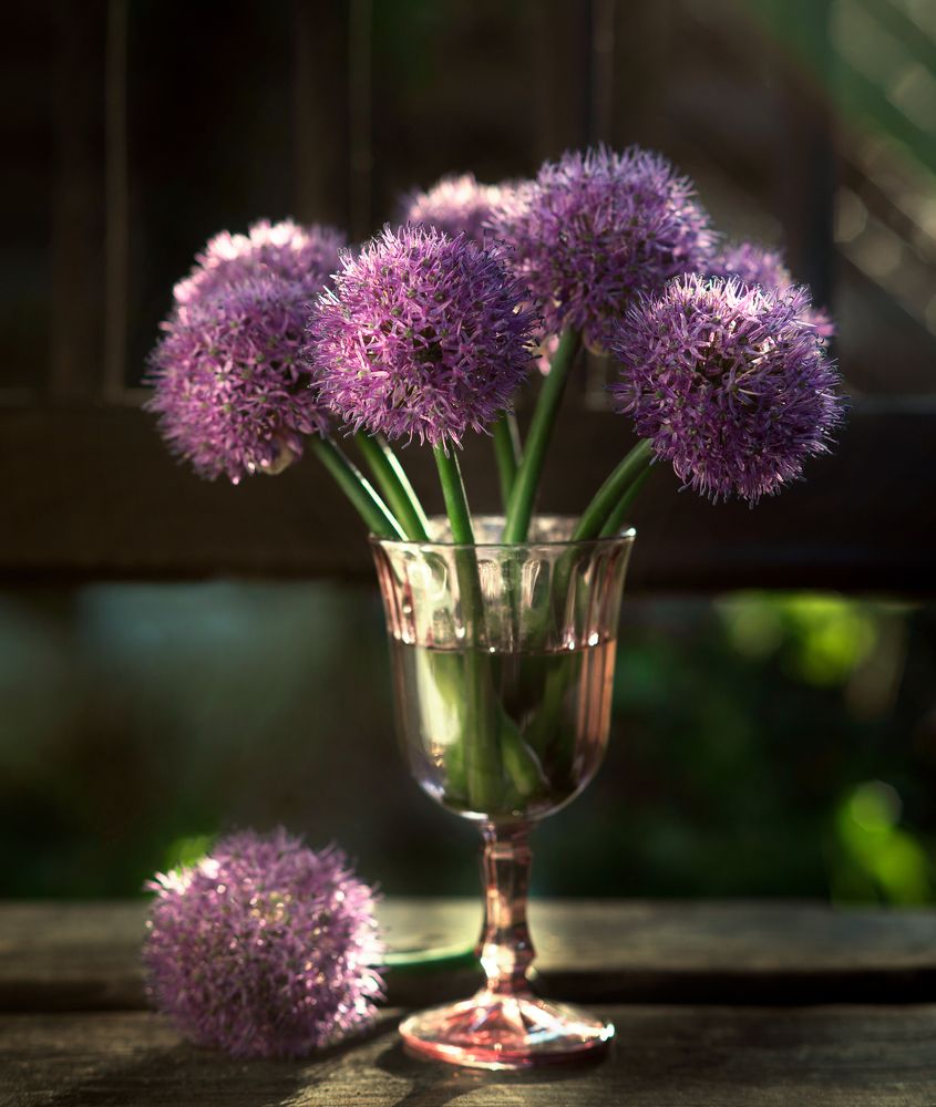 Photograph by Лариса Абрамова