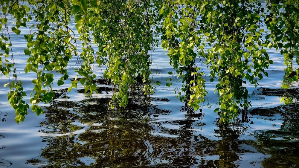 Photograph by Лариса Абрамова