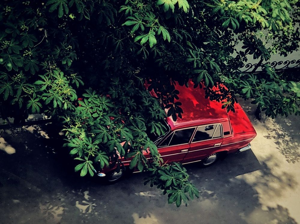 Photograph by Екатерина Воротникова