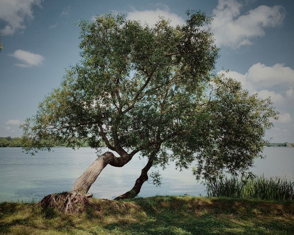 Photograph by Надежда Смирнова