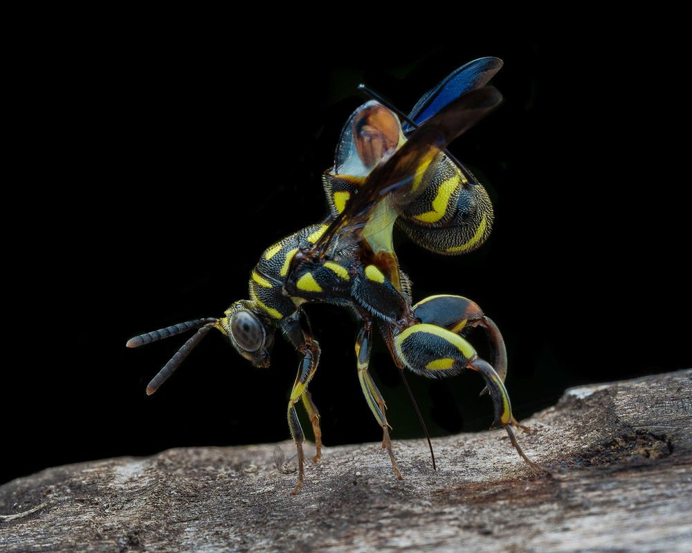 Photograph by Manjunath S