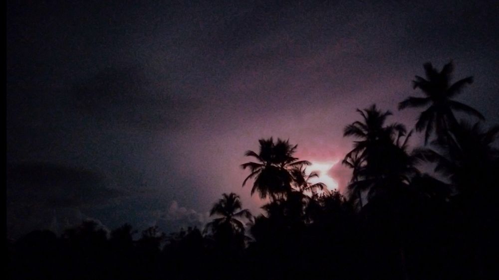 Фотография автора Rajeev Amaratunga