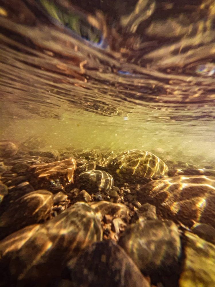 Photograph by DEBRAJ PURKAYASTHA