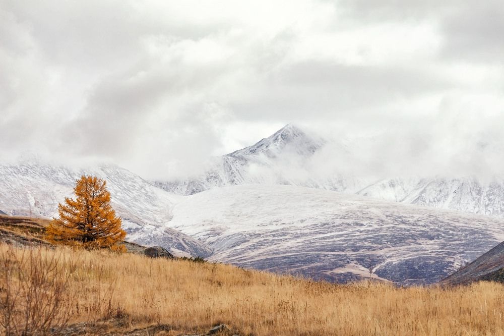 Фотография автора Галина Шепелева