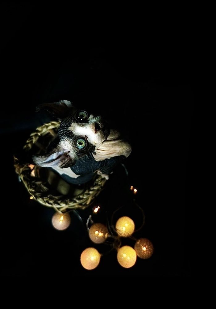 Photograph by Диана Бадеева