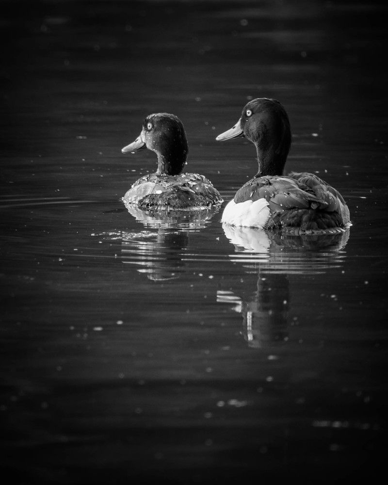 Photograph by Gala Boyarkova