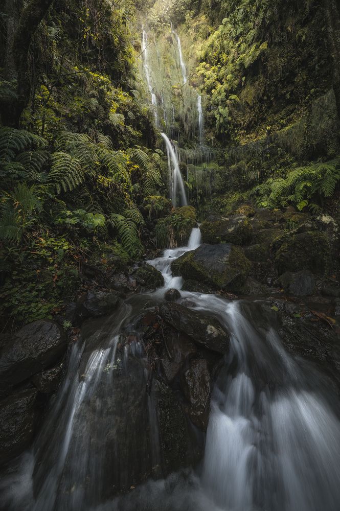 Фотография автора Niccolò Talenti