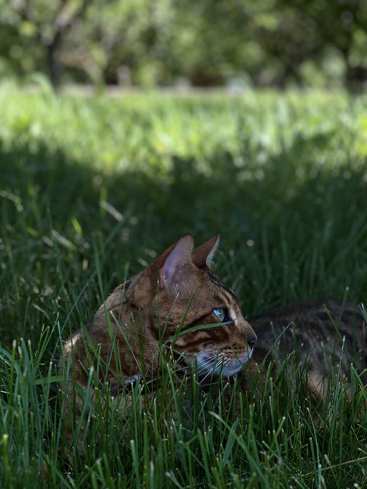 Photograph by Елена Громова