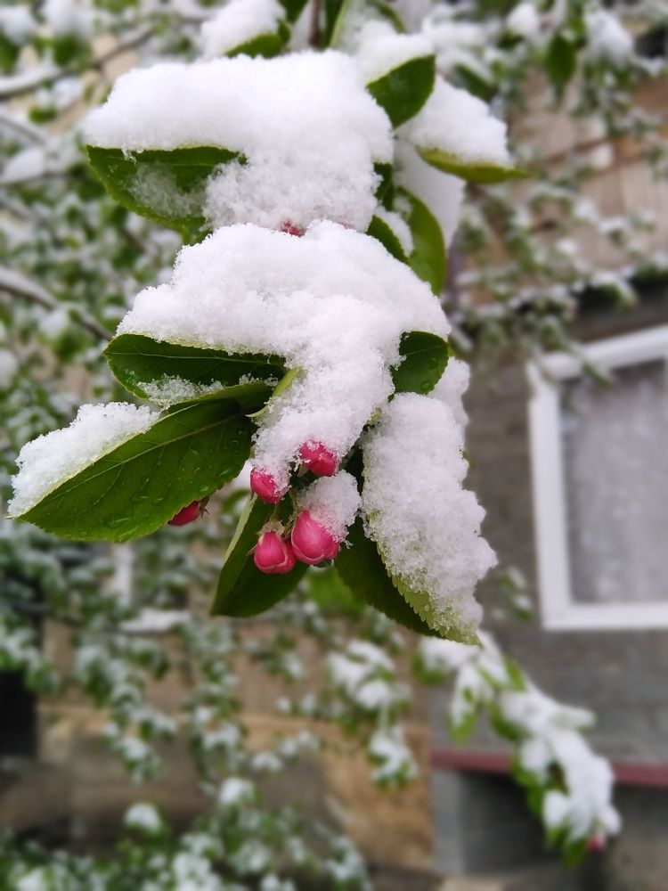 Photograph by Екатерина Чеснокова