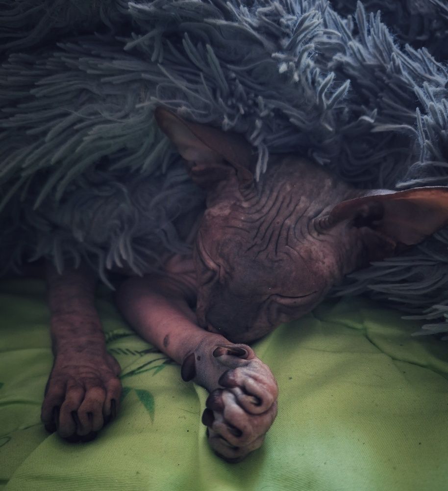 Photograph by Наталья Шехова