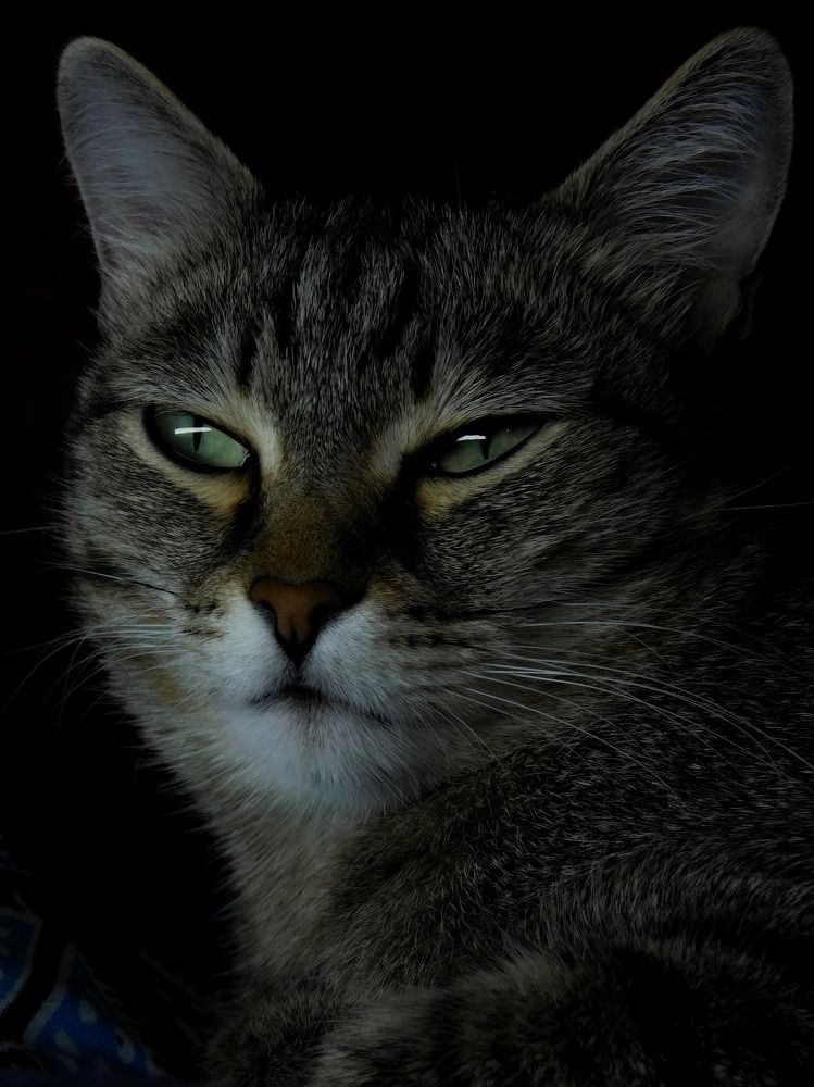 Photograph by Данила Аваргин
