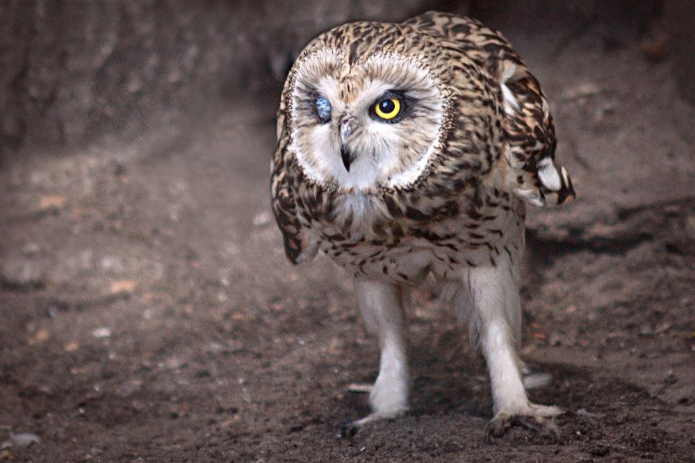 Photograph by Эдуард Попов